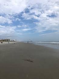 Myrtle Beach State Park 2019 All You Need To Know Before