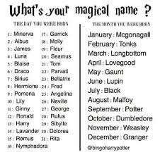 Pin De Aurora Jayde En Harry Potter Memes De Harry Potter Conjuros Harry Potter Personajes De Harry Potter