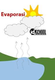 Lisimeter digunakan untuk mengukur et secara eksperimen. 5 Tahapan Daur Air Idschool
