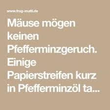 Die haltung von kaninchen ist kinderleicht: Die 10 Besten Bilder Zu Mauseabwehr In 2020 Maus Im Haus Maus Vertreiben