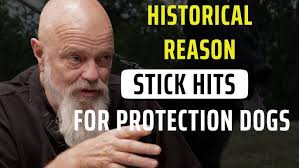 How To Choose A Dog Trainer