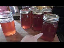 This is the simplest kind of canning, and jelly or jam is an excellent first project for a beginning canner. 6 15 18 Cooking Peach Pit Jelly Youtube