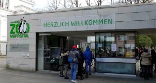 Pinguintunnel, elefantenhaus und menschenaffenhaus geöffnet. Zoo Eintritt Wird Familienfreundlicher Wuppertal Total Aktuelle Nachrichten Und Lokale News
