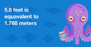 There are 0.3048 meters in a foot. 5 8 Feet In Meters How Many Meters Is 5 8 Feet