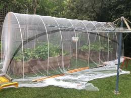 I was going to build raised garden beds and then cover them all with an igloo of bird netting supported by 40mm poly pipe (irrigation pipe). How To Build A Vegetable Garden Cover Greenhouse Scott Cam Shares His Diy Tips