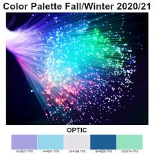 Ispo Textrends Fall Winter 2020 21 Optic Fall Winter Winter Color Trends