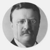President Theodore Roosevelt Square Sticker