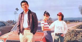 Image result for Yellow 1977 Amana