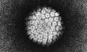 Hpv can also cause cancer in the back of the throat, including the base of the tongue and tonsils (called oropharyngeal cancer). Men Face Higher Risk Of Cancers Linked To Oral Sex