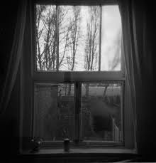 Window Photography Inspo Windows Cool Photos