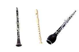 Saat ditiup, ke dua sisi tersebut akan menghasilkan getaran yang menimbulkan suara. Harga Alat Musik Tiup Woodwind Terbaru Di Indonesia Juli 2021