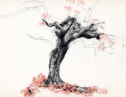Dopo i primi e difficilissimi mesi della pandemia il cre della parrocchia non è stato organizzato. Disegnare Alberi 3 Il Mestiere Di Guardare E Vedere Topipittori