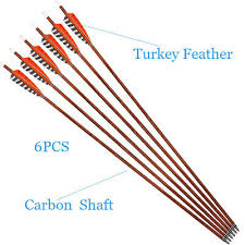Other Carbon Arrows