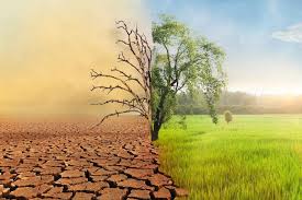 Whether you are interested in climate change, poverty alleviation, or just promoting projects that make financial sense, this book is for you. This Climate Bill Would Actually Send Checks To Americans Can It Help Save The Planet And Grow Our Economy