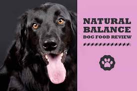 Natural balance dog food coupons 2021. Natural Balance Dog Food Review 2021 When You Re Looking For Quality Ingredients