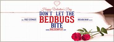 What's bugging you?‏ @whatsbuggingupc 29 сент. What S Bugging You On Valentine S Day Brezden Pest Control