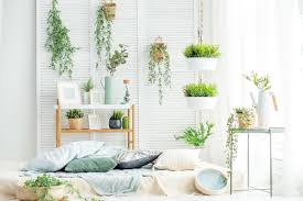 7 Hangende Zimmerpflanzen Die Besonders Beliebt Sind Buntblatt Pflanzen Fur Zimmer Balkon Und Terrasse