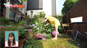 Jun 03, 2021 · (서울=뉴스1) 안태현 기자 = 배우 한지혜가 출산을 앞두고 바쁘게 지인들과의 만남을 이어가고 있다.오윤아는 3일 자신의 인스타그램에 `반갑아, 얼른 만나자, 오늘 즐거웠어`라는 글과 함께 사진을 게시했다. Chrxxlwmgldlm