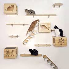 Check spelling or type a new query. Rumah Kucing Kayu Shopee Indonesia