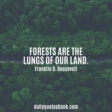 Best collection of plant, gardening, tree quotes to keep you growing strong and moving forward in your everyday efforts. 100 Inspirational Quotes About Planting Trees For Future Generations
