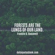 List 11 wise famous quotes about best tree plantation: 100 Inspirational Quotes About Planting Trees For Future Generations