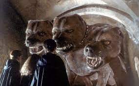 Later that year, hagrid happily told the trio that he had a won a dragon egg in a card game at the hog's head. The Creatures Of Harry Potter Harry Potter Creatures Fluffy Harry Potter Harry Potter Tattoos