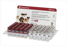 A puppy can be vaccinated for parvovirus as early as 5 weeks. Vaccinations Pug Dog Club Of America