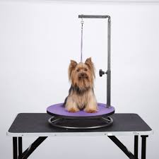 This Master Equipment Small Pet Grooming Table Saves Space And Increases Productivity The Small Rotating Tab Pet Grooming Dog Grooming Dog Grooming Supplies