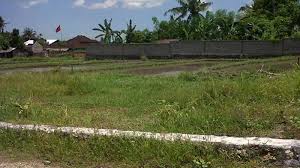 'di jual tanah kavling di kuti kutorejo pandaan ukuran kavling. Sebelum Transaksi Jual Beli Tanah Kamu Harus Perhatikan 5 Hal Ini Agar Tidak Rugi Tribun Bali