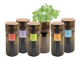 Eco Conscious Christmas Gifts 1 Chinadaily Com Cn