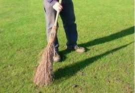 Earthworms and worm castings are a natural method of cultivating and improving soil. Earthworms On Your Lawn And Managing Worm Casts