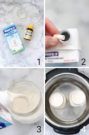 Updated october 2020 · expert reviews · get the best price 2 Ingredient Vegan Yogurt Recipe Vegan Blueberry