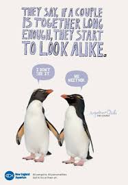 A nice aquarium focus on the regional ocean and freshwater environment. Couples Look Alike New England Aquarium Penguin Love Look Alike