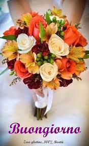 Auguri capodanno immagini da inviare agliamici. Buongiorno Con I Fiori Piu Di 60 Immagini E Un Video Da Dedicare Passione Mamma