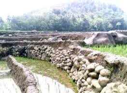 Perbuatan manusia yang menyebabkan tanah menjadi tidak. Terasering Pengertian Fungsi Dan Jenisnya Haloedukasi Com