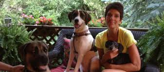 Maybe you would like to learn more about one of these? Fun Fitness With Fido Pet Care Solutions Omaha Ne