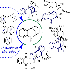 Image result for Strychnos gossweileri