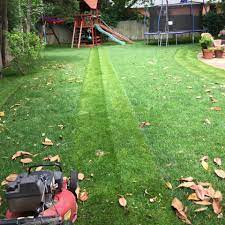 They get the job done right and in a timely manner. Gonzalez Lawn Care Landscaping Service Home Facebook