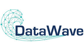 Termites can be very destructive insects. Datawave Research Launched By Industry Veteran Pest Management Professional