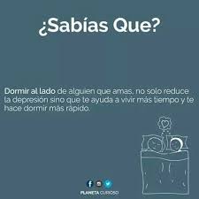 Curiosidades Sabias Que Sabias Que Datos Curiosos Ironias De La Vida