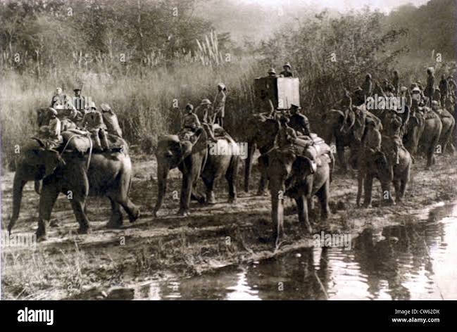 Prince of Wales hunting tiger in Nepal, 1922 Stock Photo - Alamy
