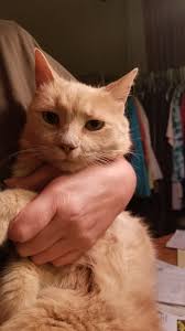 Any Vanderhall owners in the Seattle area?