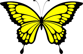 Kupu kupu serangga gambar alam hewan sayap desain dekoratif model tahun dekorasi. Gambar Kartun Hewan Kupu Kupu Bestkartun