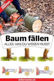 Schön, dass sie da sind! 94 Kettensage Ideen In 2021 Kettensage Sage Motorsage