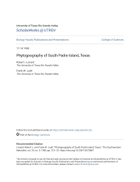 Image result for Buchnera longispicata