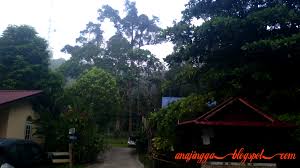 Alhamdulillah di beri tanggungjawab baru menguruskan operasi chalet di janda baik ini. Family Day Di Janda Baik