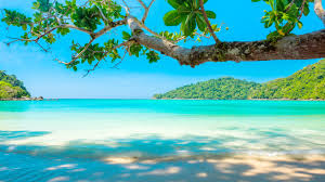 Wallpaper Beautiful Sea Beach Tree Tropical 5120x2880 Uhd 5k Picture Image A desktop wallpaper is highly customizable, and you can give yours a personal touch by adding your images (including your photos from a camera) or download beautiful pictures from the internet. wallpaper beautiful sea beach tree