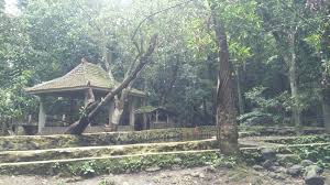 Menurutnya, pulau laki merupakan tempat tidak berpenghuni. Nuansa Mistis Di Pemandian Sumber Nyolo Jadi Wisata Yang Keren Traveling Yuk