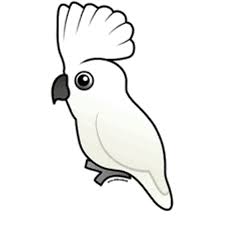Selain menyediakan berbagai kebutuhan seperti makanan, air, dan oksigen, alam juga menyuguhkan gambar lukisan yang sangat memanjakan mata. 15 Gambar Sketsa Lovebird