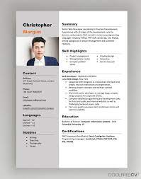 Profile picture and profile description, work experience, education and a list of skills. Cv Resume Templates Examples Doc Word Download